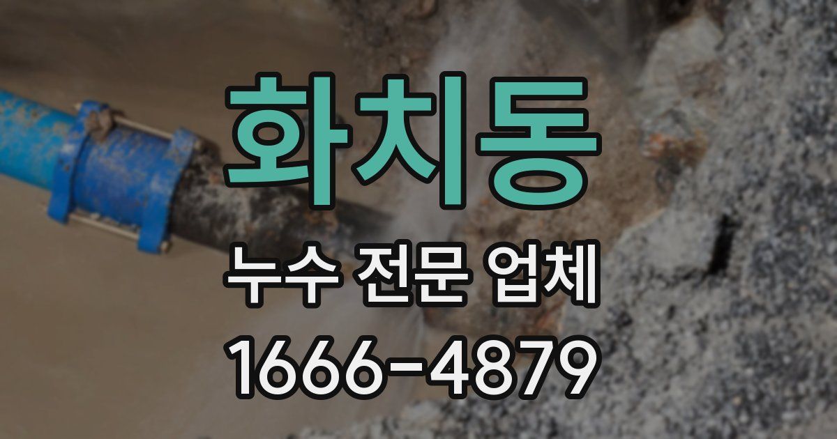 화치동 누수 전문 업체