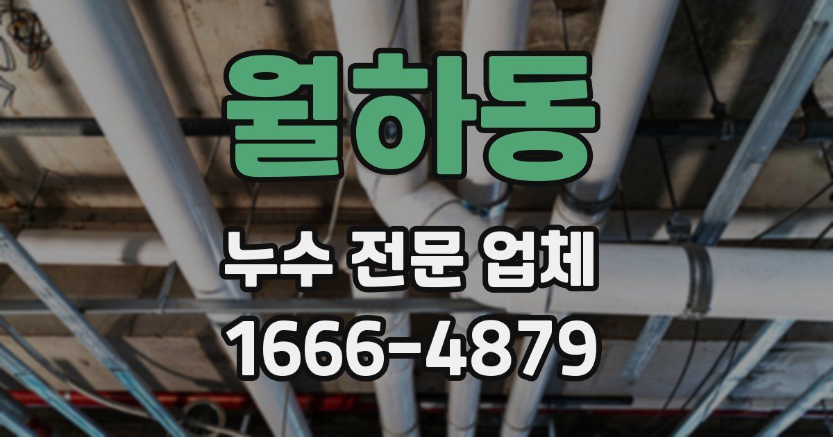 월하동 누수 전문 업체