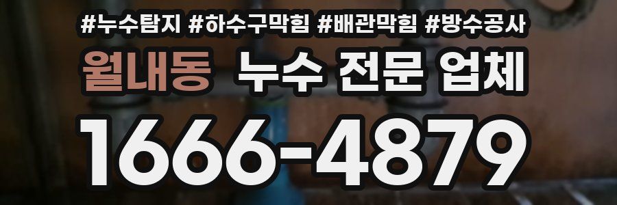 월내동 누수 전문 업체