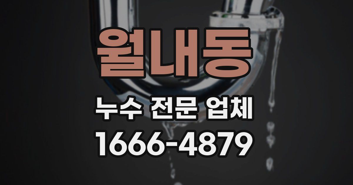 월내동 누수 전문 업체