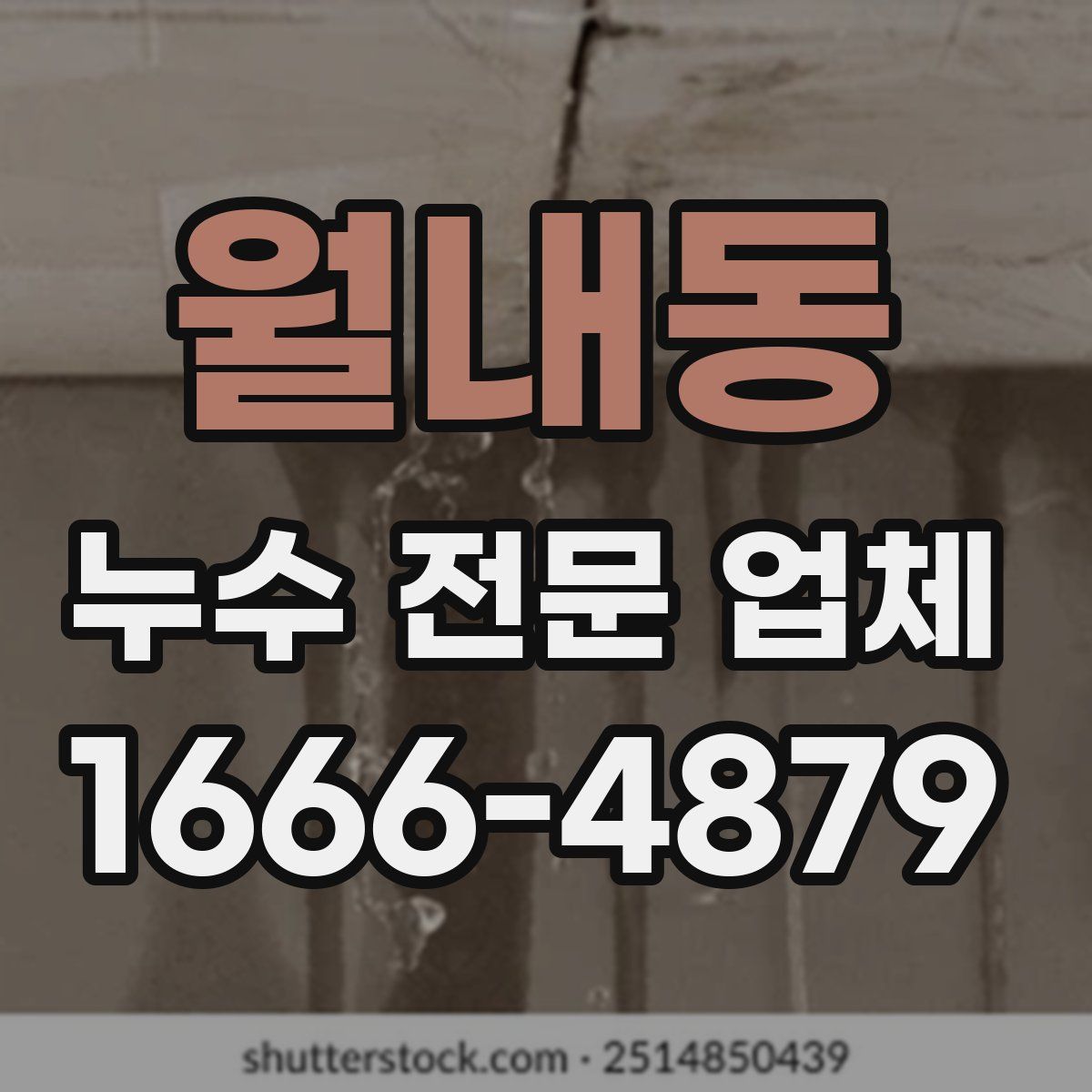 월내동 누수 전문 업체