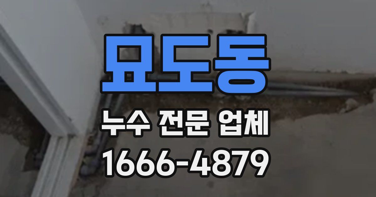 묘도동 누수 전문 업체
