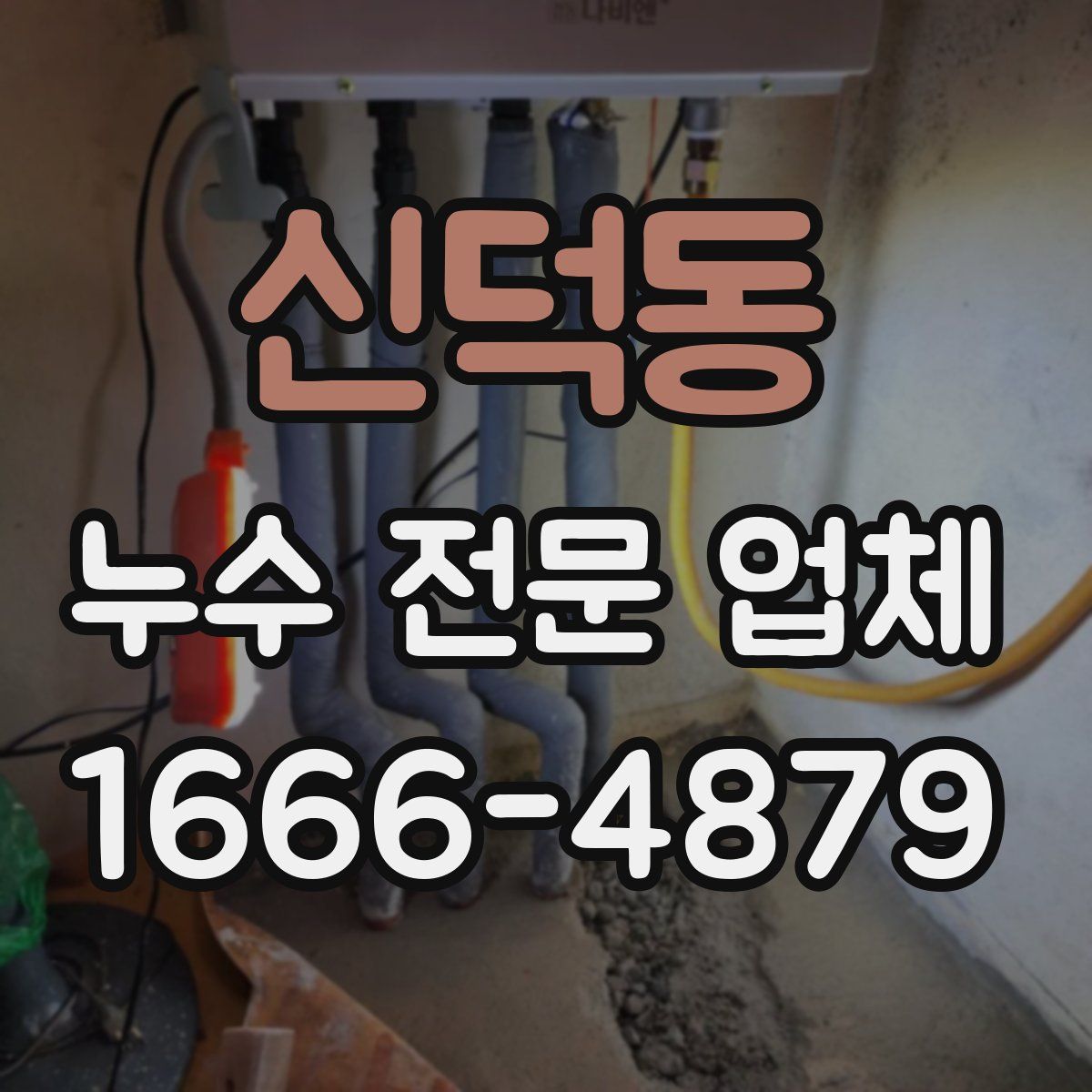 신덕동 누수 전문 업체