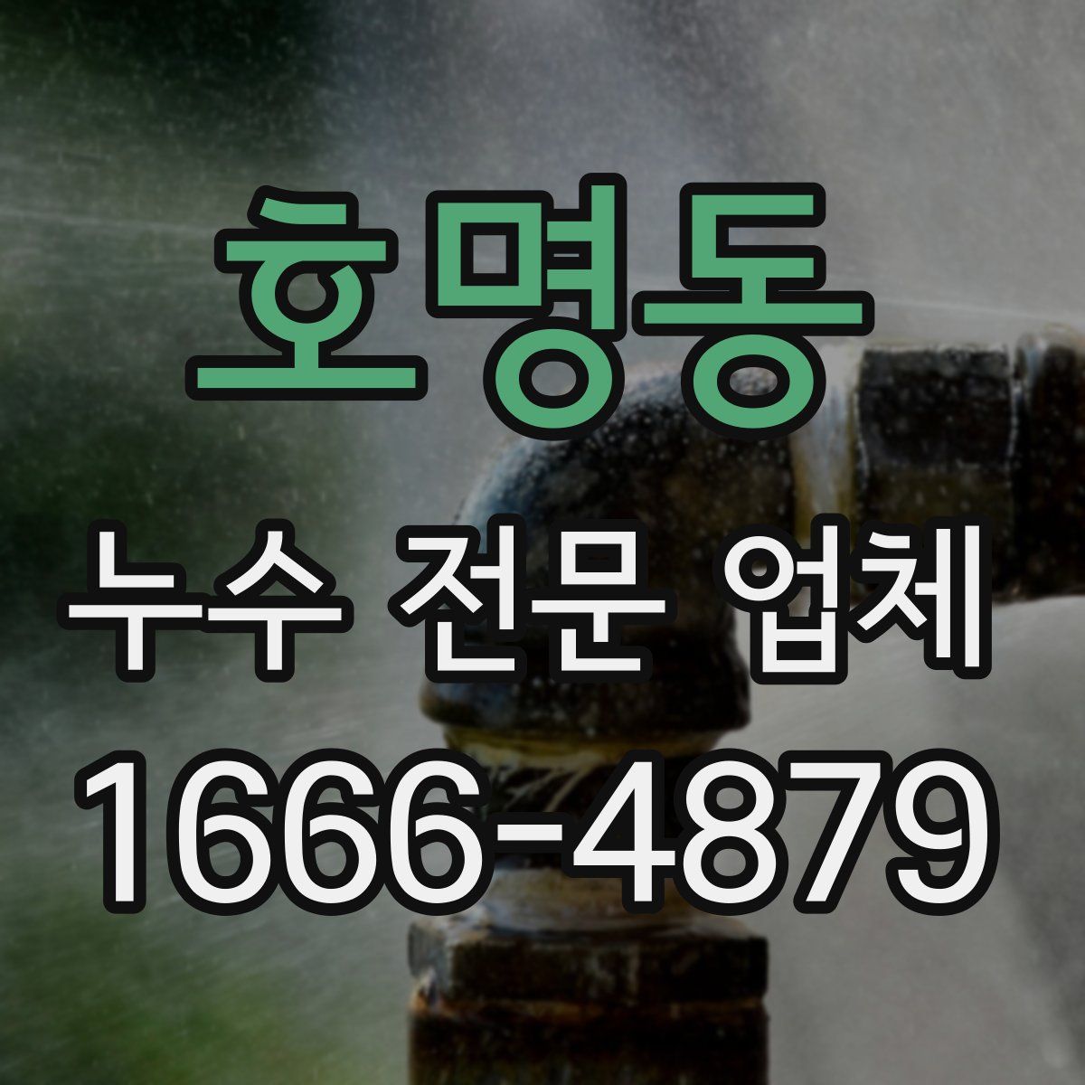 호명동 누수 전문 업체