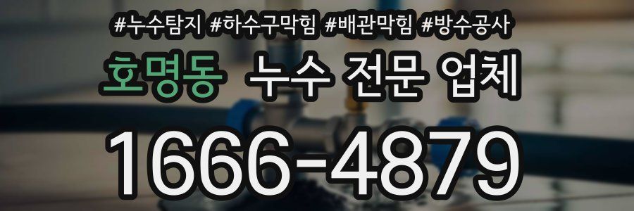 호명동 누수 전문 업체