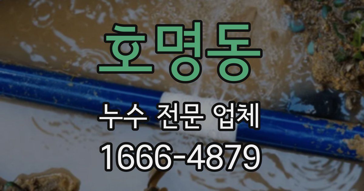 호명동 누수 전문 업체