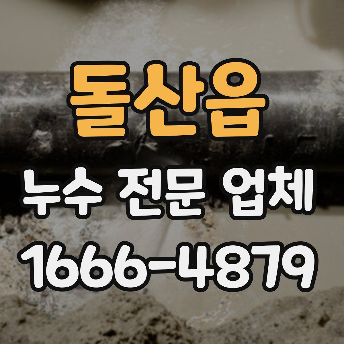 돌산읍 누수 전문 업체