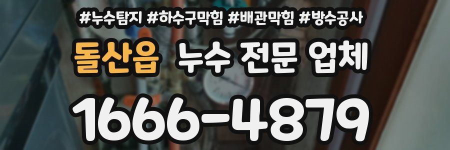돌산읍 누수 전문 업체