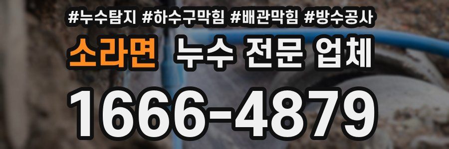 소라면 누수 전문 업체