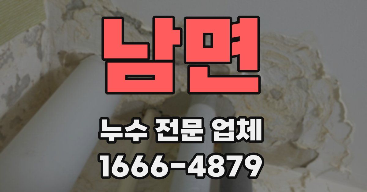 남면 누수 전문 업체