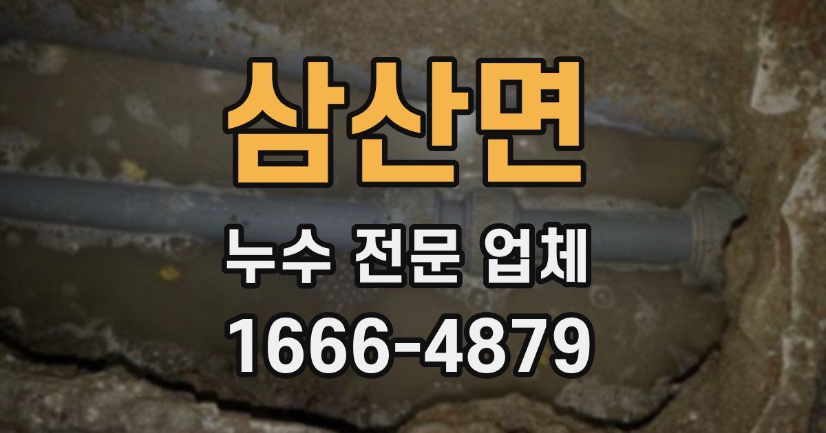 삼산면 누수 전문 업체