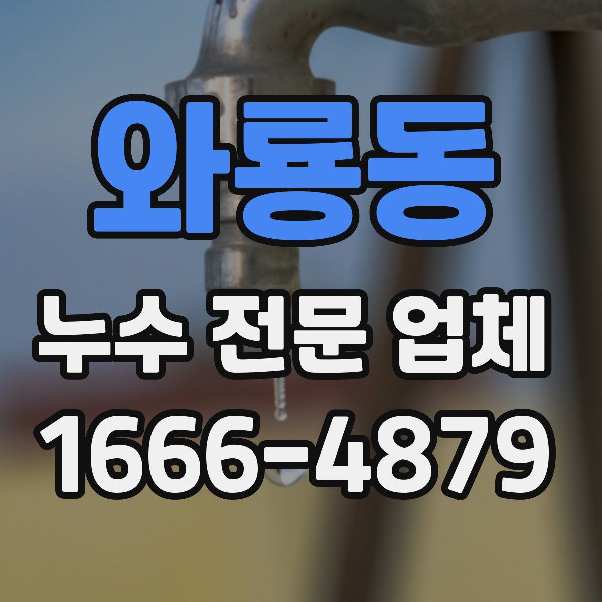 와룡동 누수 전문 업체