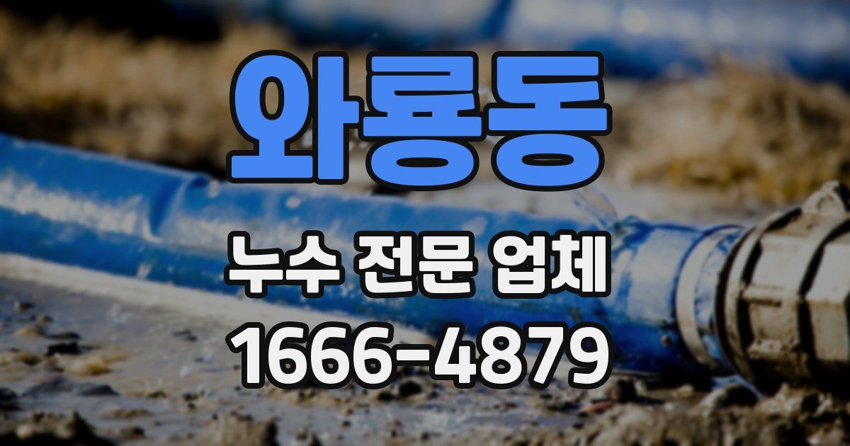 와룡동 누수 전문 업체