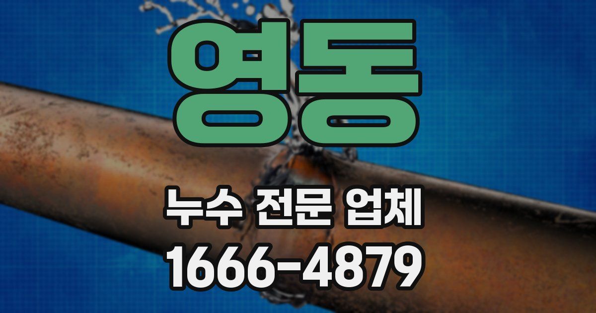 영동 누수 전문 업체