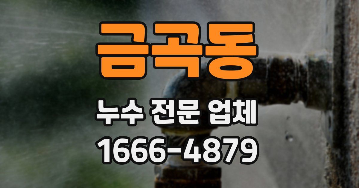 금곡동 누수 전문 업체