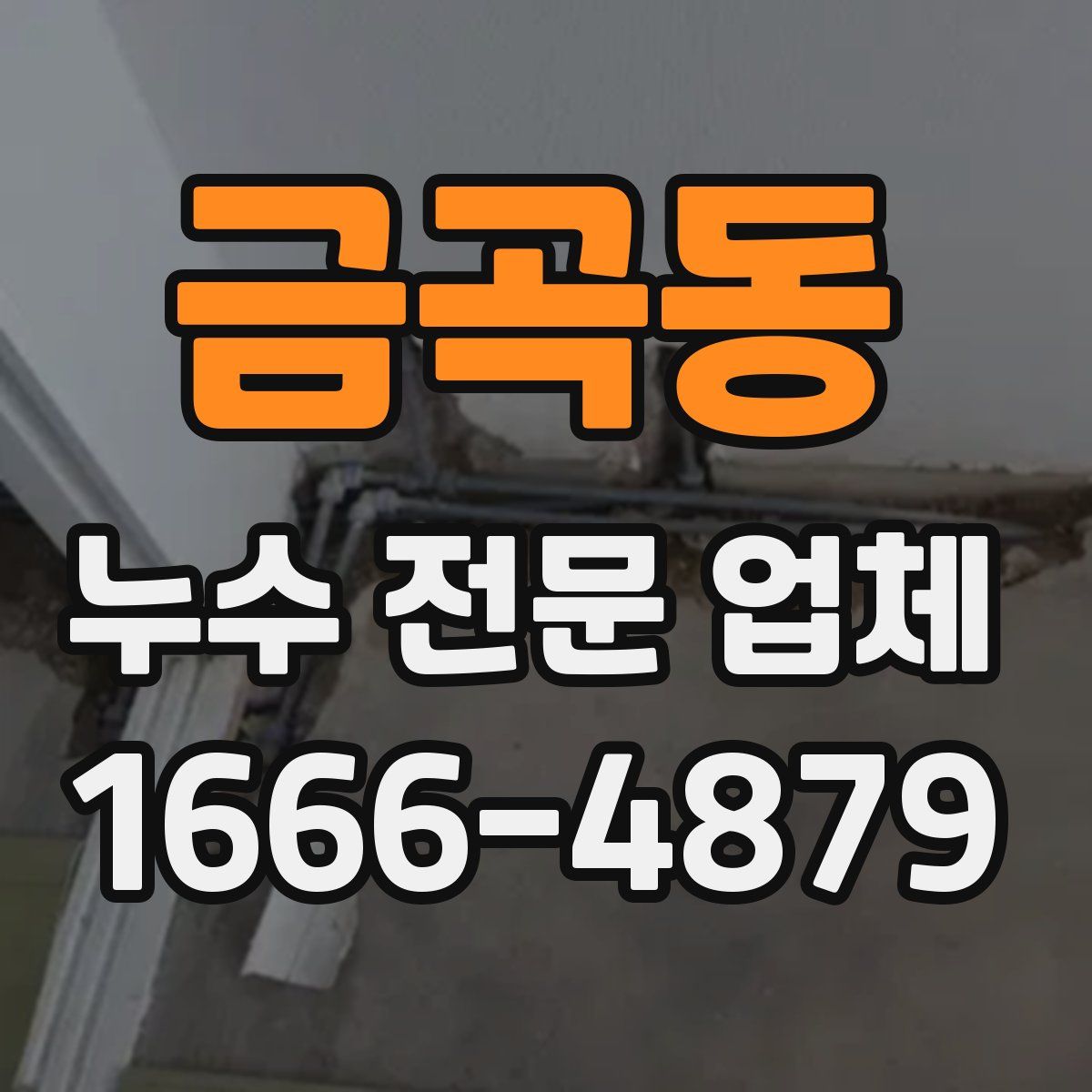 금곡동 누수 전문 업체