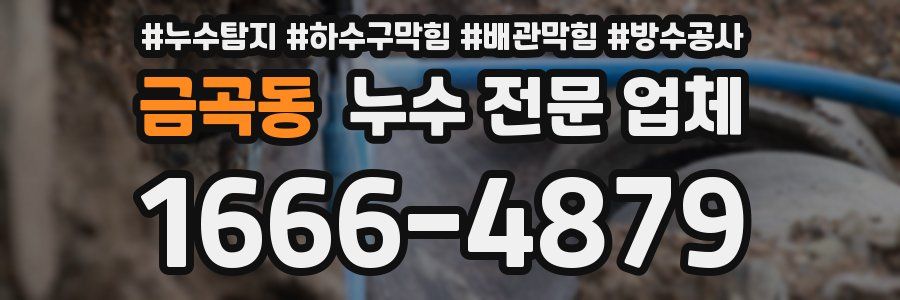 금곡동 누수 전문 업체