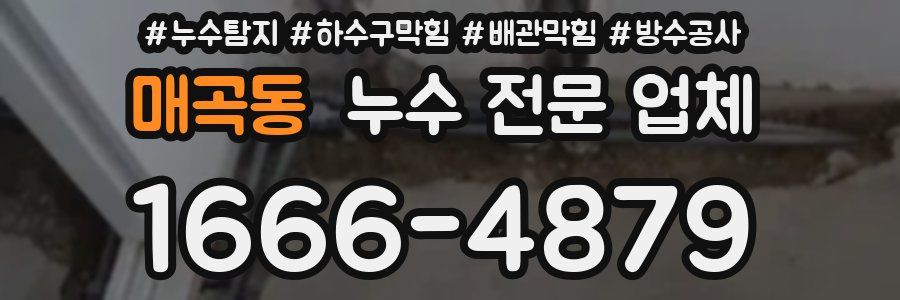 매곡동 누수 전문 업체