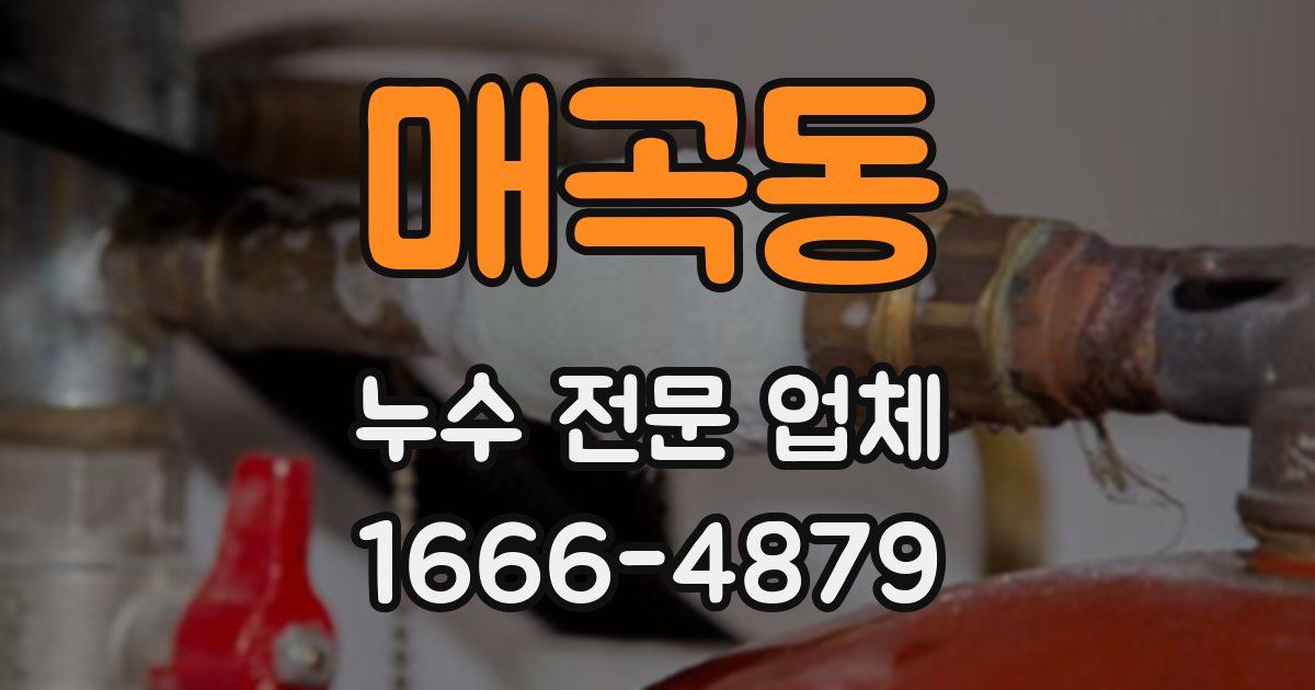 매곡동 누수 전문 업체