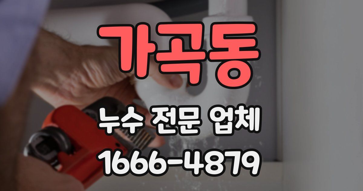가곡동 누수 전문 업체