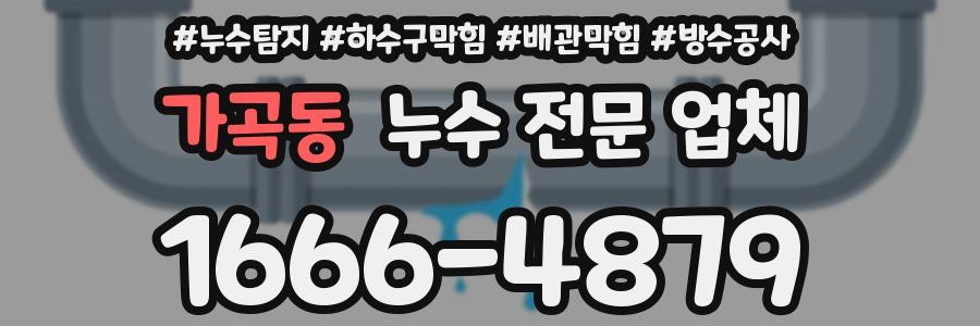 가곡동 누수 전문 업체