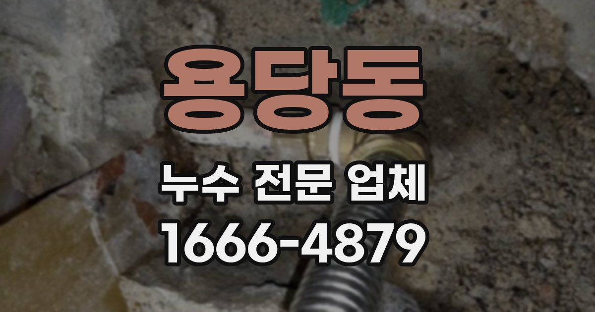 용당동 누수 전문 업체