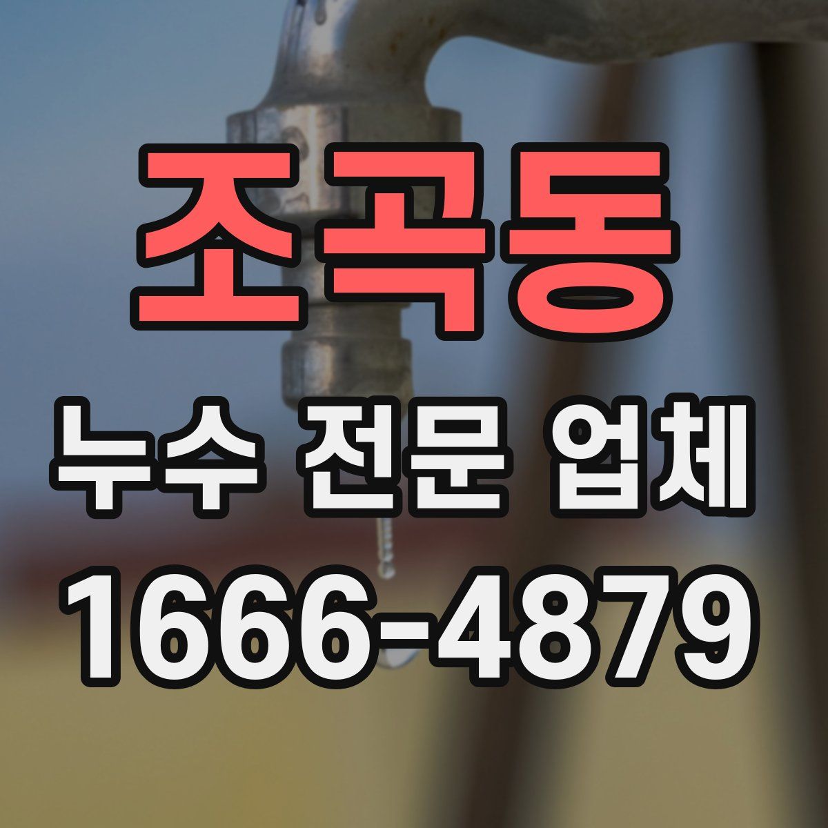 조곡동 누수 전문 업체