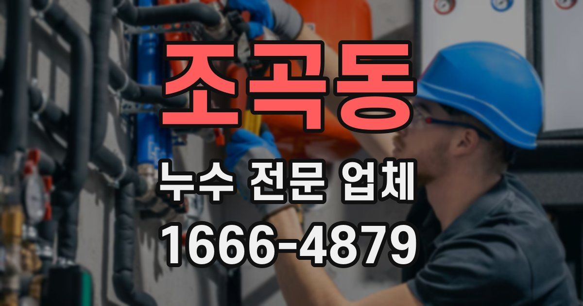 조곡동 누수 전문 업체