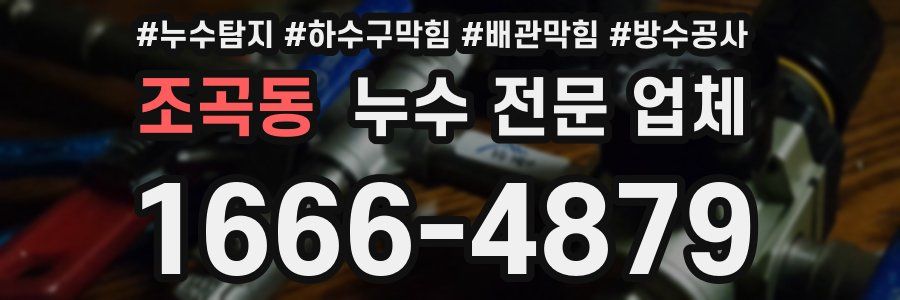 조곡동 누수 전문 업체