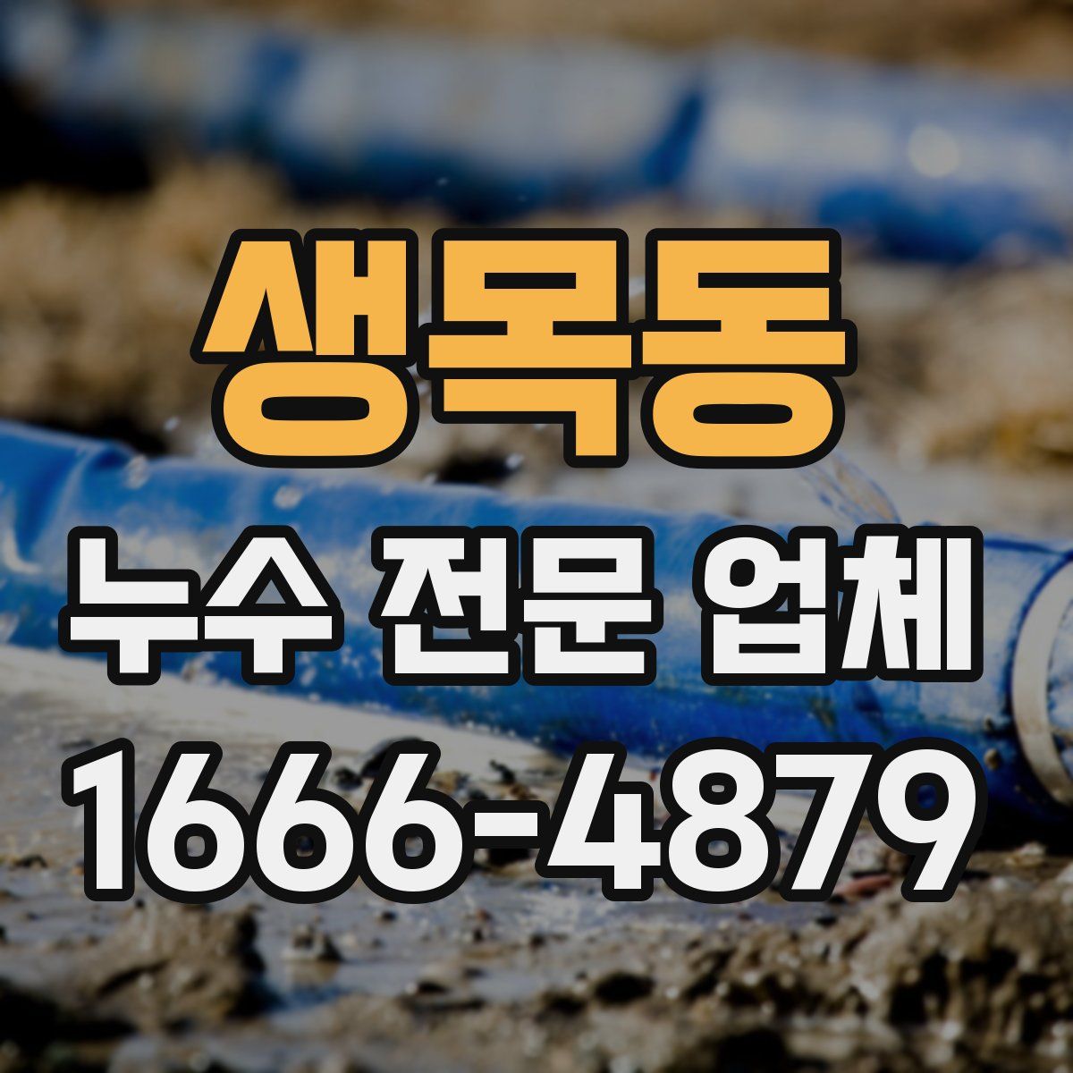 생목동 누수 전문 업체