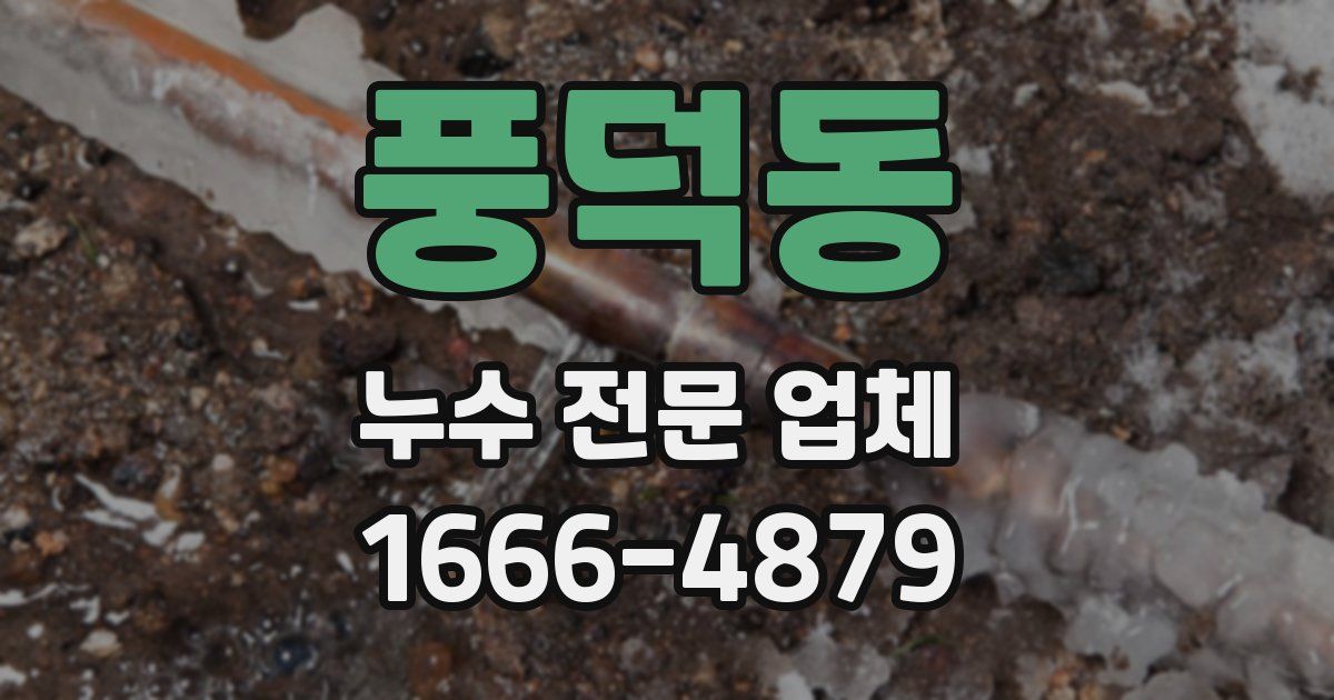 풍덕동 누수 전문 업체