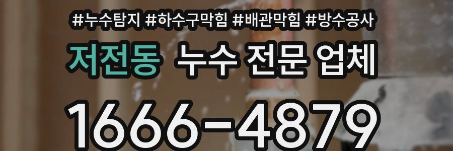 저전동 누수 전문 업체