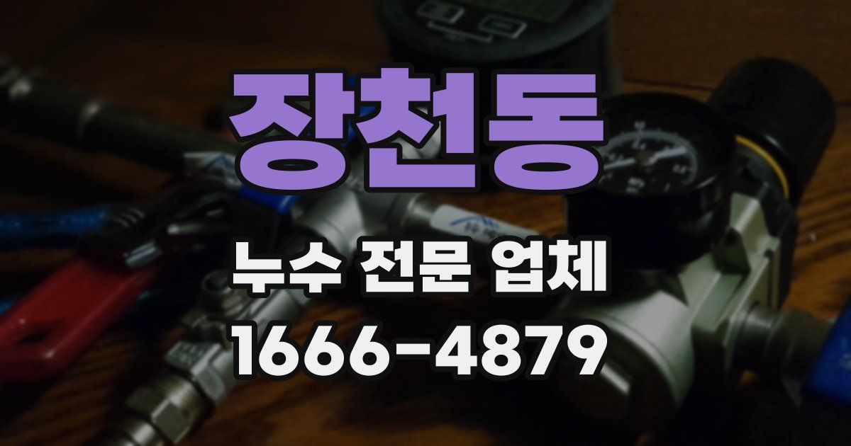 장천동 누수 전문 업체