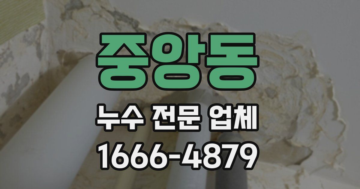 중앙동 누수 전문 업체