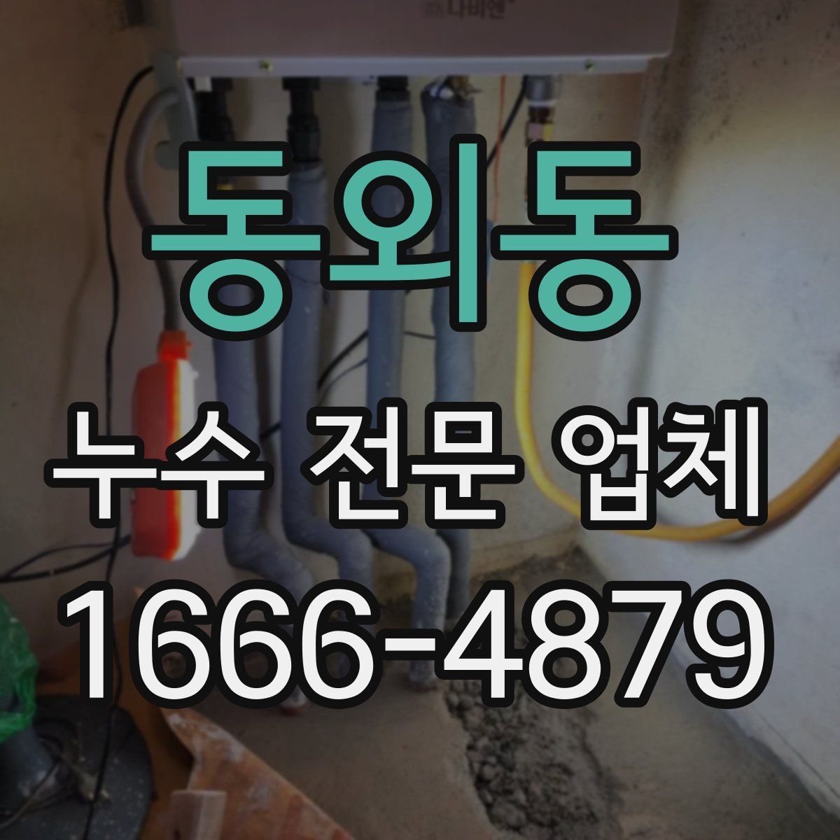 동외동 누수 전문 업체
