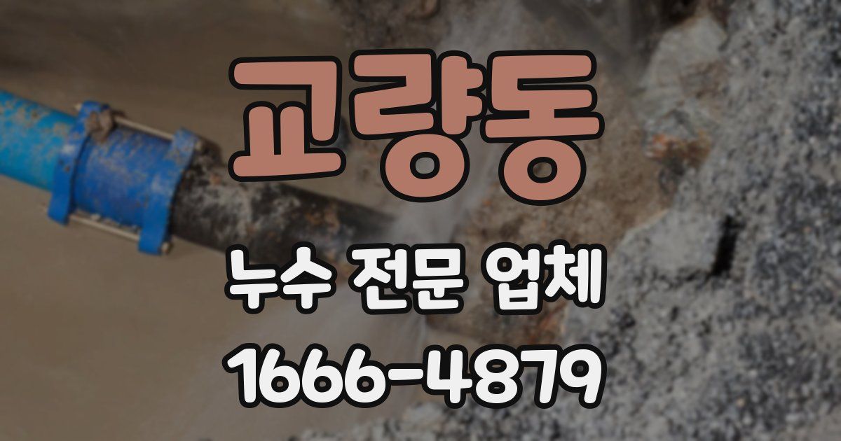 교량동 누수 전문 업체
