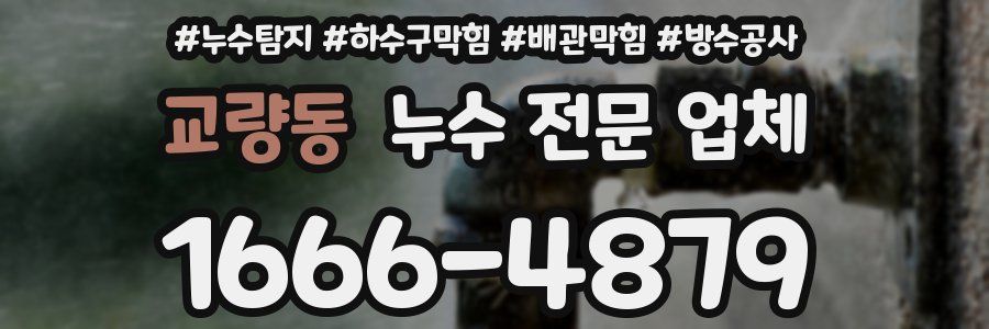 교량동 누수 전문 업체