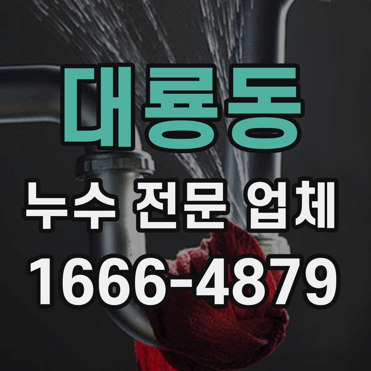 대룡동 누수 전문 업체