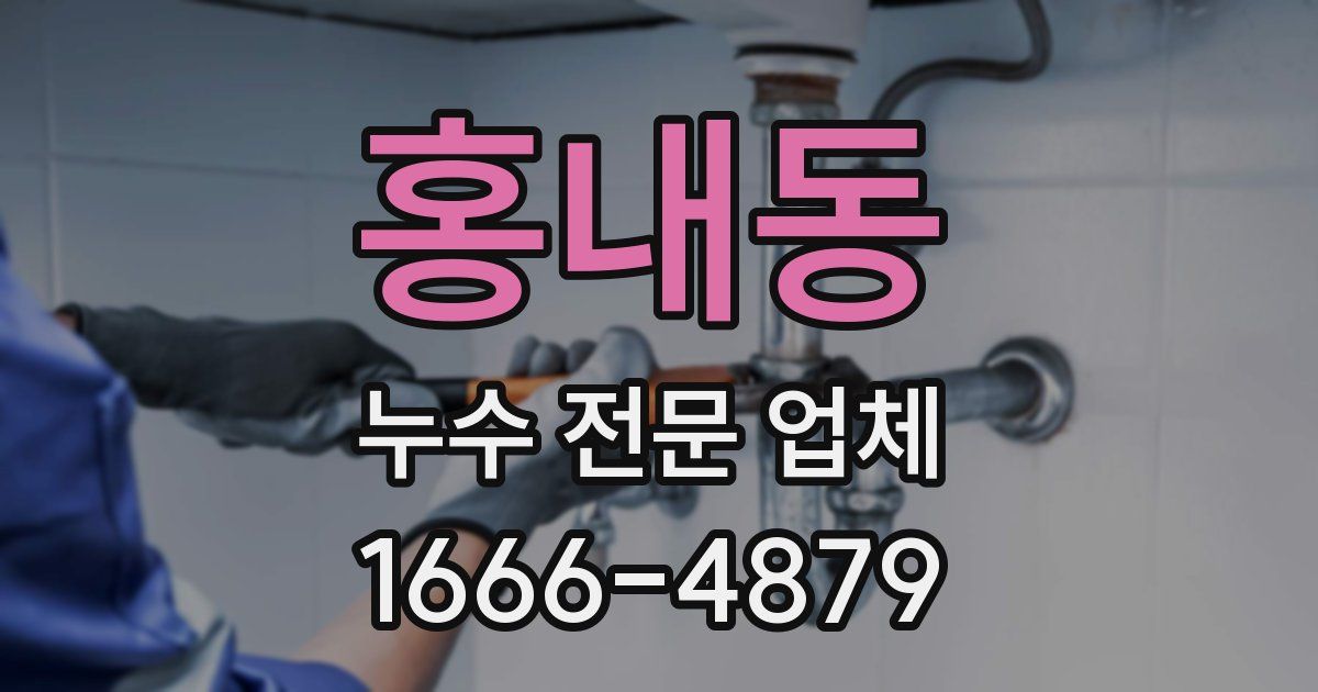 홍내동 누수 전문 업체