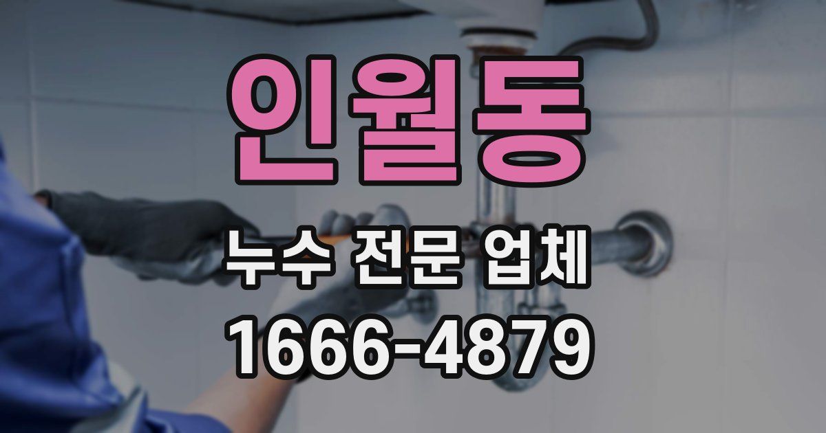 인월동 누수 전문 업체