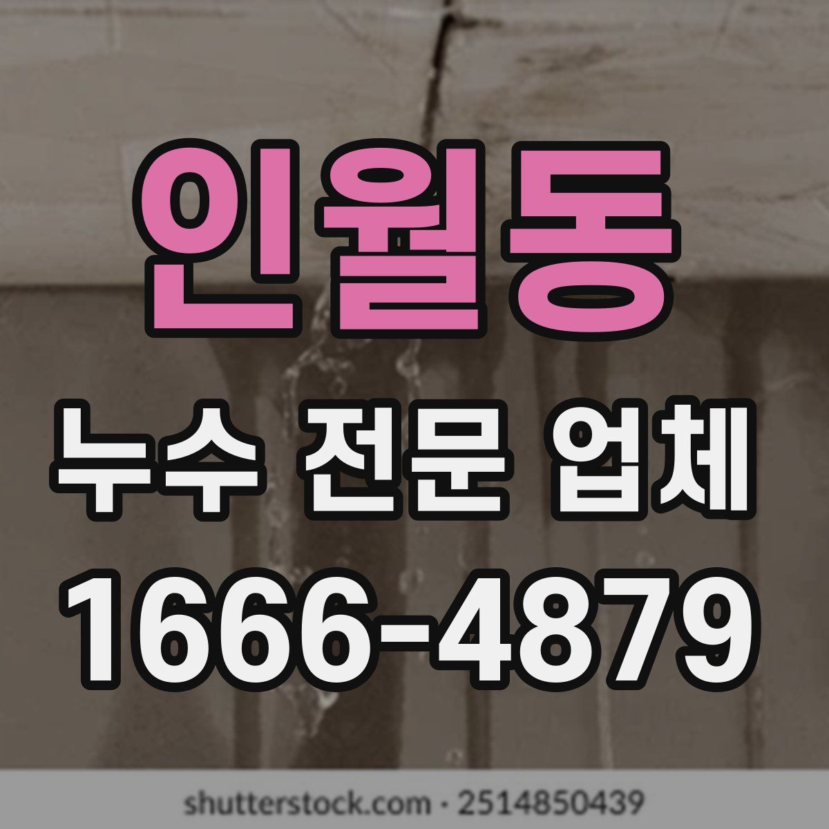 인월동 누수 전문 업체