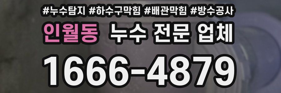 인월동 누수 전문 업체