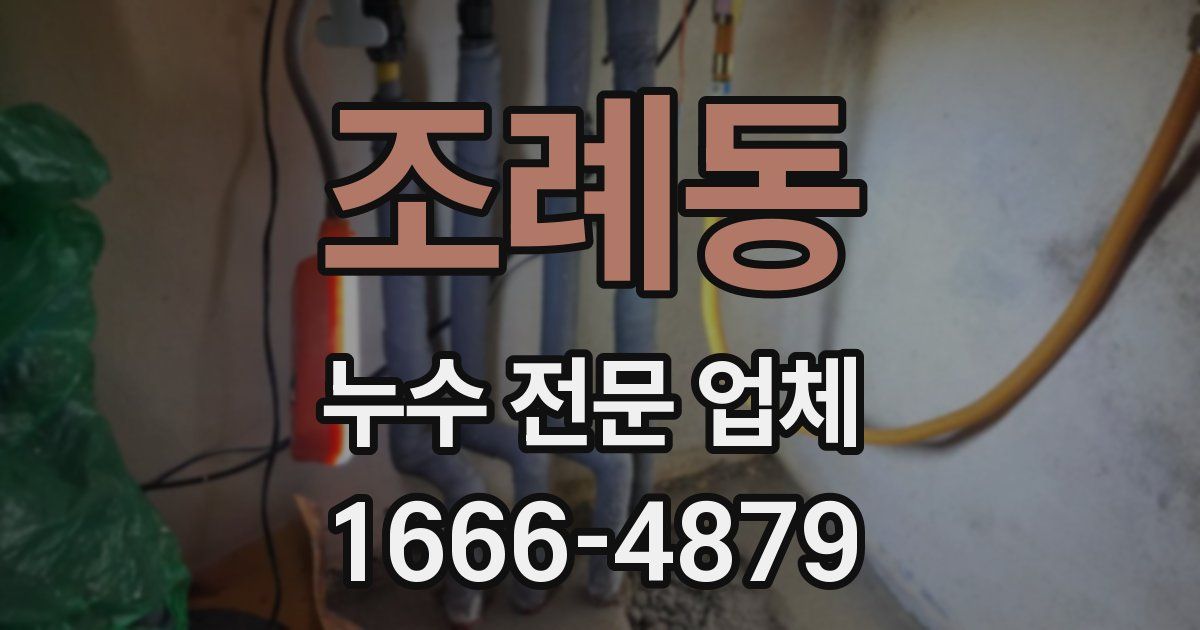 조례동 누수 전문 업체