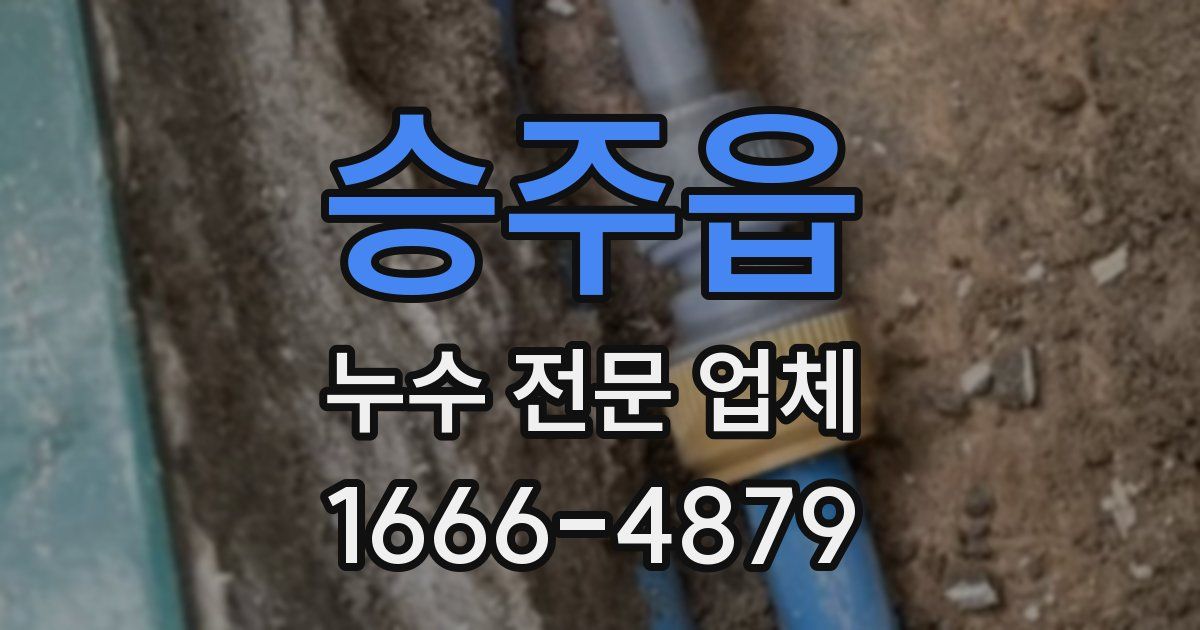 승주읍 누수 전문 업체