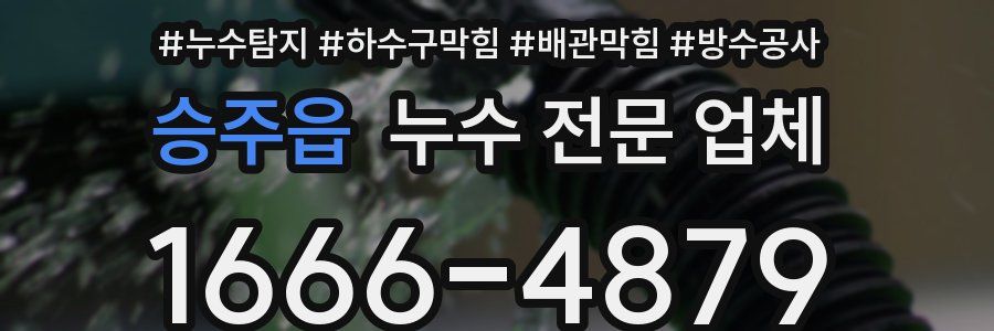승주읍 누수 전문 업체