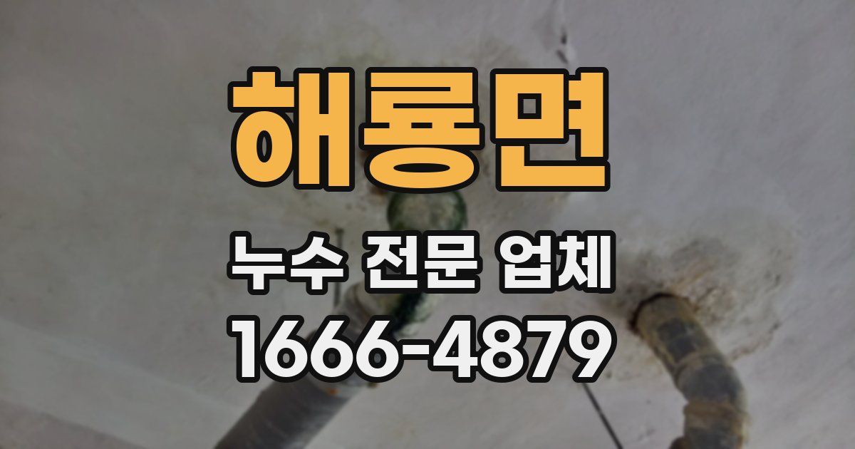 해룡면 누수 전문 업체