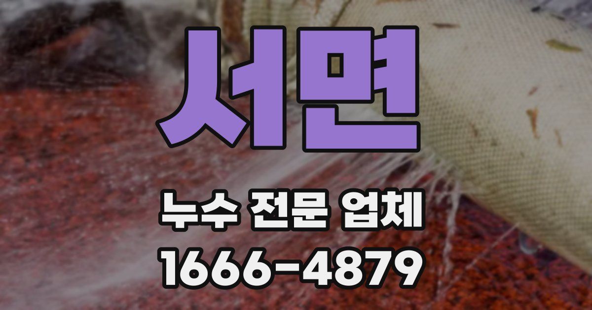 서면 누수 전문 업체