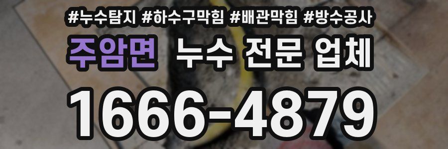 주암면 누수 전문 업체