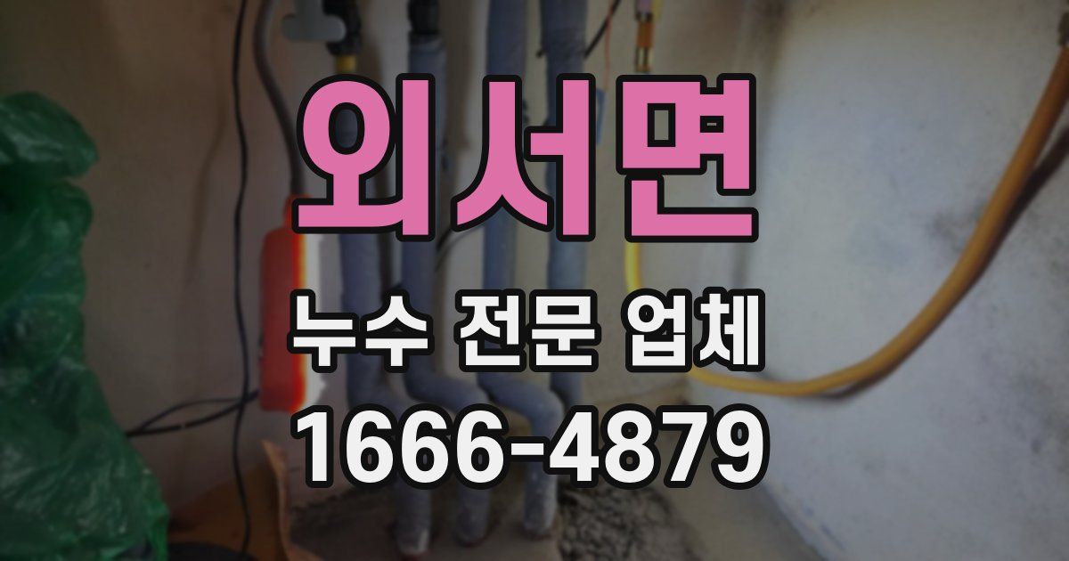 외서면 누수 전문 업체