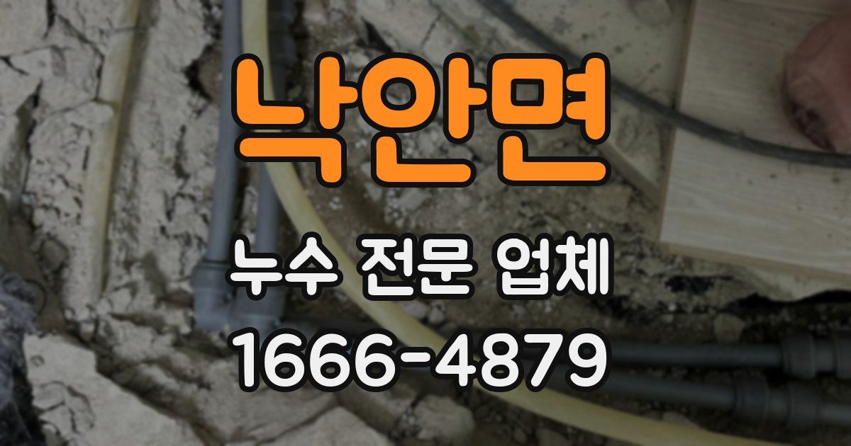 낙안면 누수 전문 업체